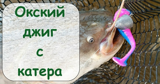 Джиг с катера с приманками Format