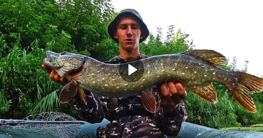 Видео от канала «Рыбалка на реках и озерах» с плетеным шнуром Number One
