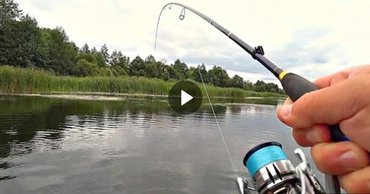 Видео от Евгения Верещагина (канал Active Fishing) Видео от Евгения Верещагина (канал Active Fishing)