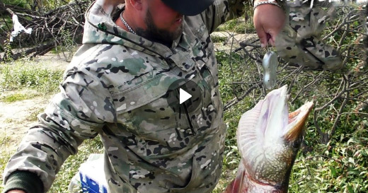 Видео о северной рыбалке от YouTube канала «Наедине с тайгой. Охоты и рыбалка» Видео о северной рыбалке от YouTube канала «Наедине с тайгой. Охоты и рыбалка»