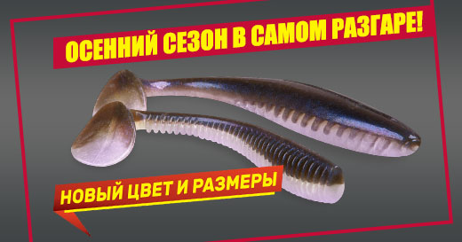 Новинки и другие поступления — осенний сезон в самом разгаре!