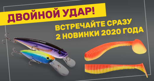 Двойной удар — сразу 2 новинки 2020 года! Двойной удар — сразу 2 новинки 2020 года!