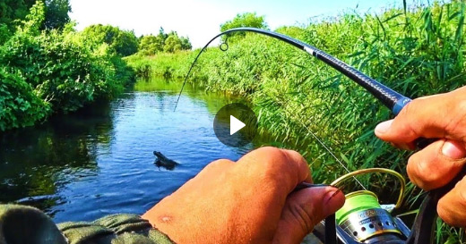Новое видео от Ивана Носаева с рыбалки, на которой применялся флюорокарбон Starline