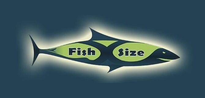 Компания "Fishxsize"